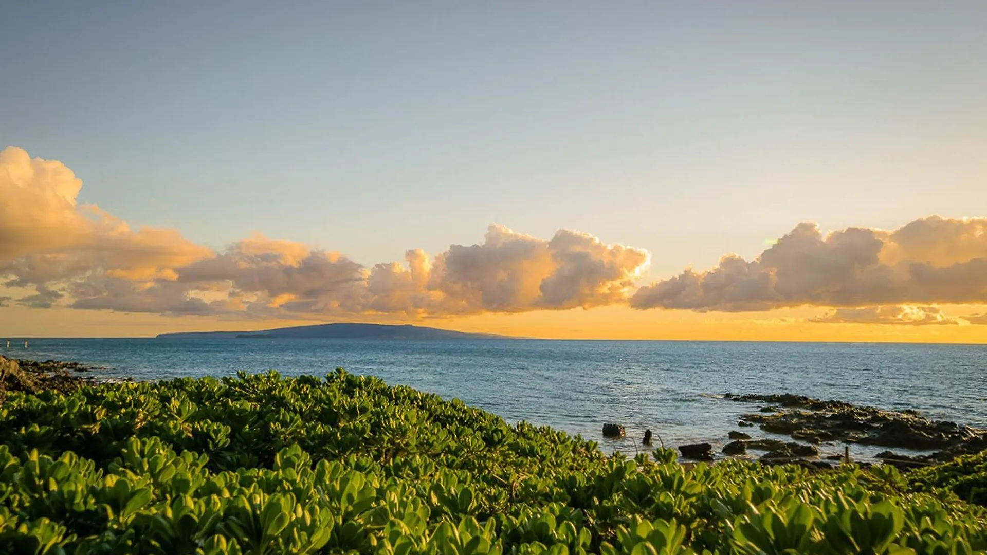 Maui Kamaole F-204 Apartamento Wailea